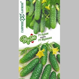 Дуэт Огурец Кураж F1 + Мурашка F1