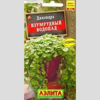 Дихондра Изумрудный водопад