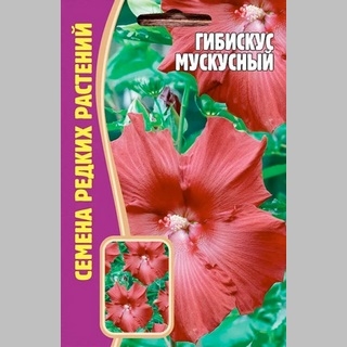 Гибискус Мускусный (темно-красный) (большой пакет)