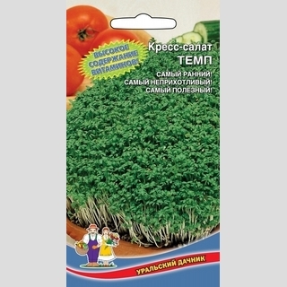 Кресс-салат Темп