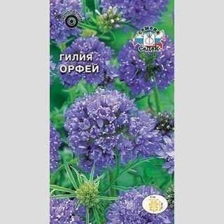 Гилия Орфей головчатая