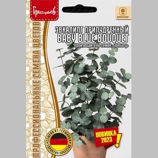 Эвкалипт Baby Blue Bouquet припудренный (большой пакет)