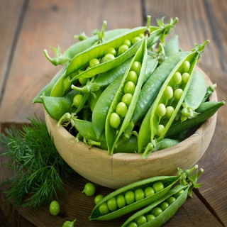 Горох Атлант