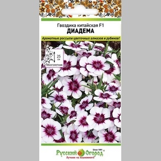 Гвоздика Диадема F1 (китайская)