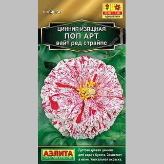 Цинния Поп Арт Вайт Ред Страйпс