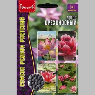 Лотос орехоносный (Nelumbo nucifera) (большой пакет)