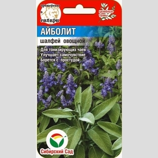 Шалфей Айболит