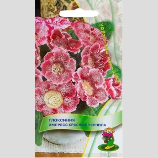Глоксиния Импресс Красные чернила