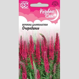 Вероника Очарование длиннолистная
