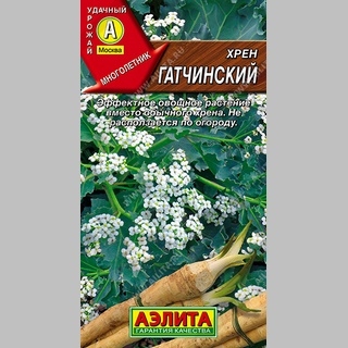 Хрен Гатчинский