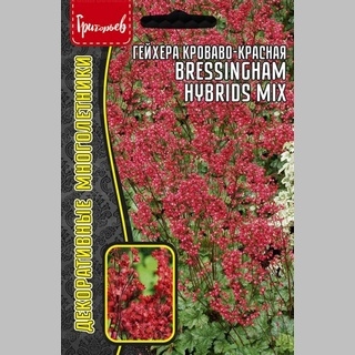Гейхера Bressingham Hybrids кроваво-красная (большой пакет)