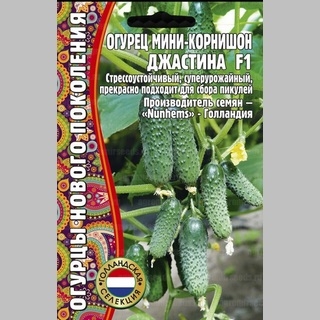 Огурец Джастина F1 (большой пакет)