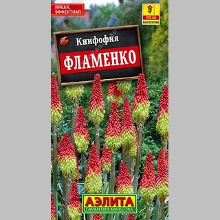 Книфофия Фламенко (ягодная)