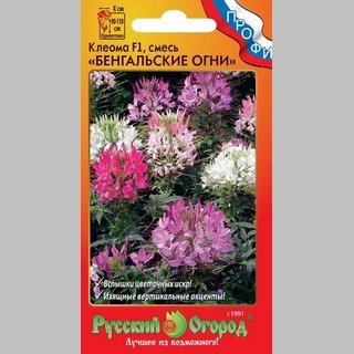 Клеома Бенгальские огни F1 смесь