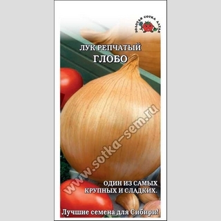Лук Глобо репчатый
