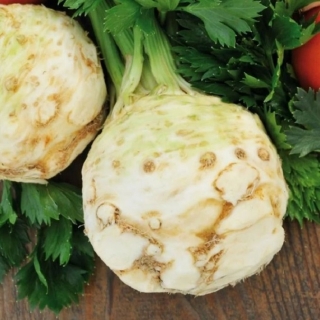 Сельдерей Кладезь Здоровья (корневой)