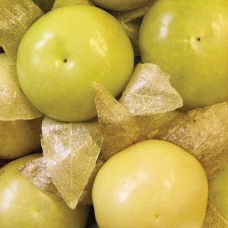 Физалис Кондитер овощной