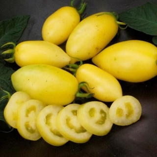 Томат Сосулька кремовая