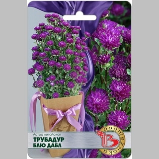 Астра Трубадур Блю Дабл