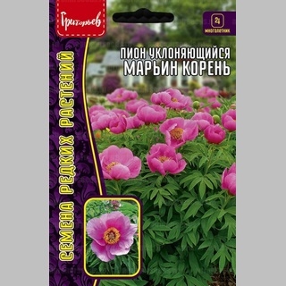 Пион Марьин Корень (уклоняющийся) (большой пакет)