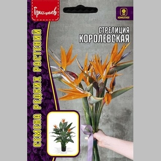 Стрелиция Королевская (большой пакет)