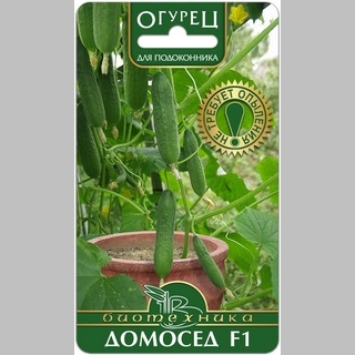 Огурец Домосед F1