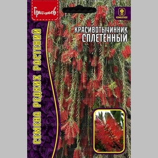 Красивотычинник Сплетенный (большой пакет)