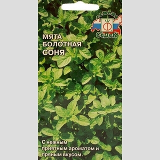 Мята болотная Соня