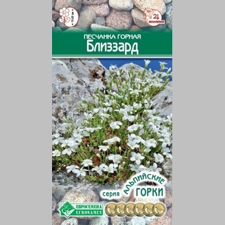 Песчанка Близзард (горная)