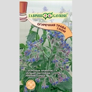 Огуречная трава Гном (бораго)