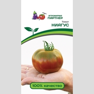 Томат Ниагус