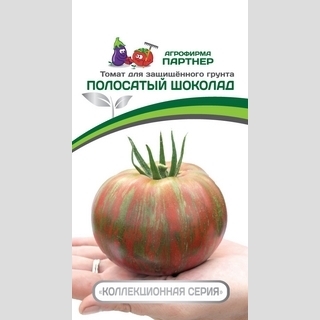 Томат Полосатый Шоколад