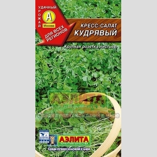 Кресс-салат Кудрявый