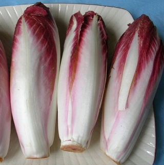 Салат Диетический цикорный