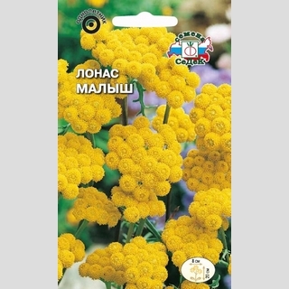 Лонас Малыш