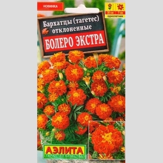Бархатцы Болеро Экстра