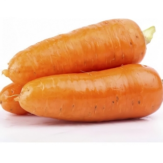 Морковь Абако F1