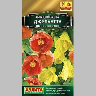 Абутилон Джульетта гибридный смесь сортов
