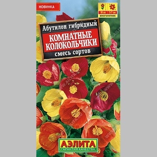 Абутилон Комнатные колокольчики смесь сортов