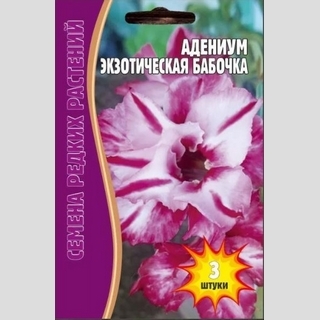 Адениум Экзотическая Бабочка (тучный) (большой пакет)