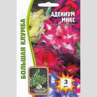 Адениум Микс (тучный) (большой пакет)