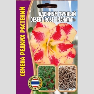 Адениум Mahatap (тучный) (большой пакет)