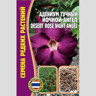 Адениум Ночной Ангел (тучный) (большой пакет)