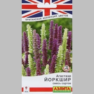 Агастахе Йоркшир смесь