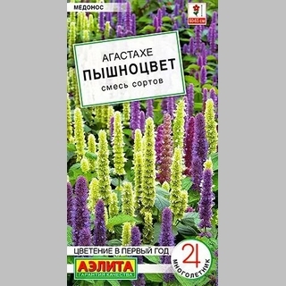 Агастахе Пышноцвет смесь