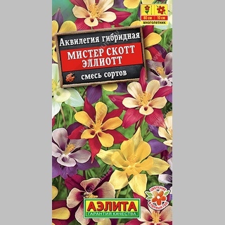 Аквилегия Мистер Скотт Эллиотт