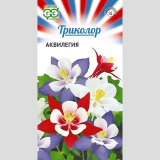 Аквилегия Триколор смесь