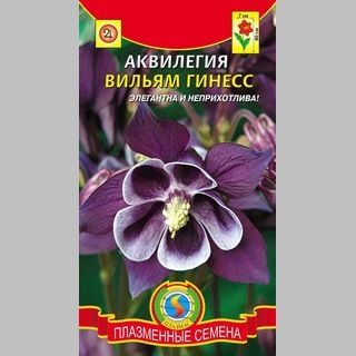 Аквилегия Вильям Гинесс