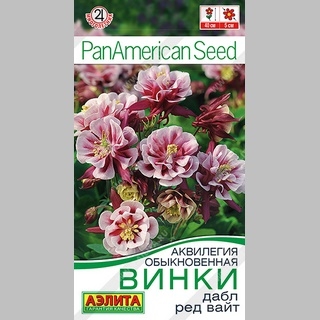 Аквилегия Винки Дабл Ред Вайт