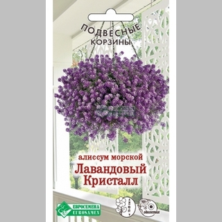 Алиссум Лавандовый Кристалл